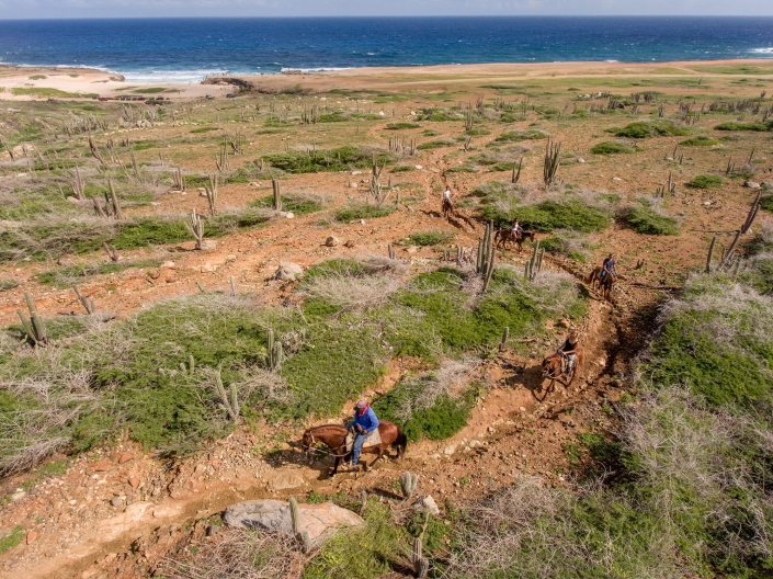 landscape horseback riding tours aruba