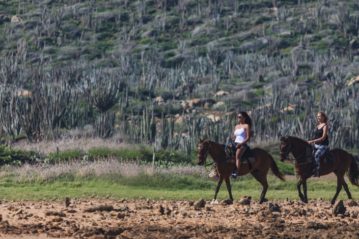 horseback riding tours aruba north coast