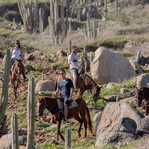 horseback riding tours aruba aruba