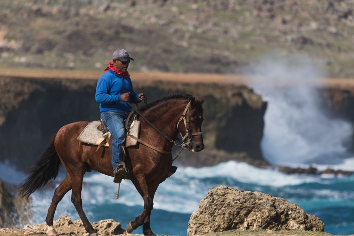 beautiful nature horseback riding tours aruba