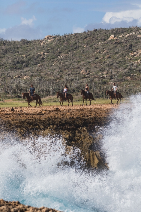 ocean view horseback riding tours aruba
