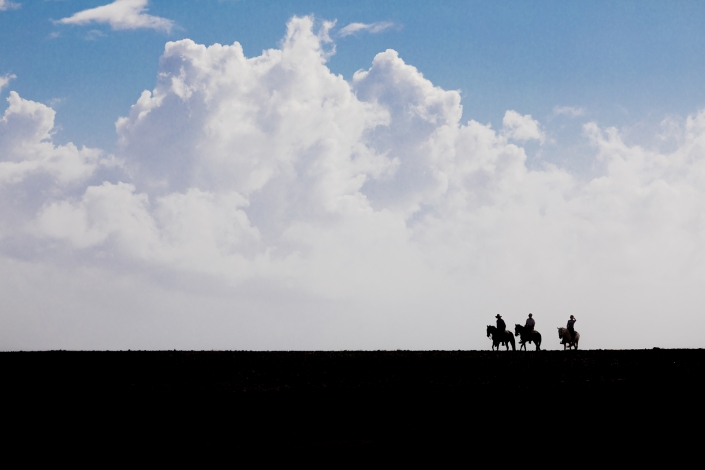 horses incredible horseback riding tours aruba