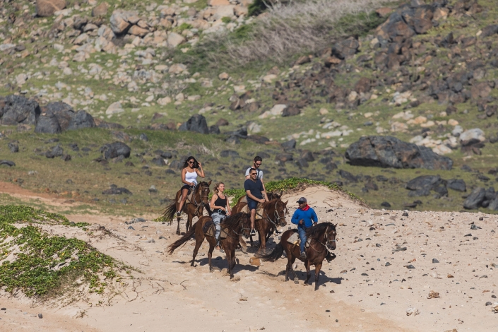 ridimng nature horseback riding tours aruba